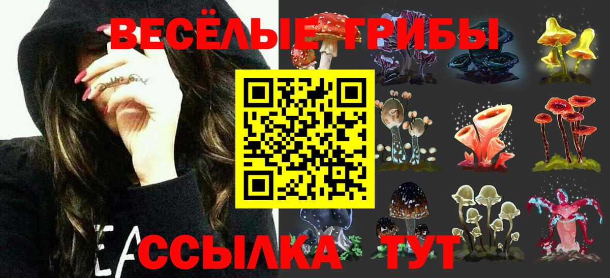 Новочебоксарск  Галлюциногенные грибы прущие грибы  Псилоцибиновые грибы GOLDEN TEACHER  Вход с VPN 